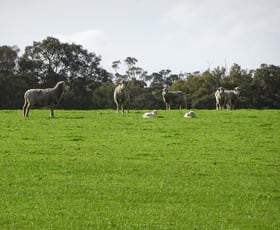 Rural / Farming commercial property sold at 591 Rocky Gully Road Rocky Gully WA 6397