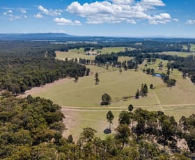 Rural / Farming commercial property for sale at Level 122/425 Swan Lane Quorrobolong NSW 2325