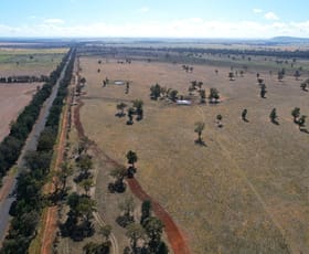 Rural / Farming commercial property for sale at 3291 Wirrinya Road Forbes NSW 2871