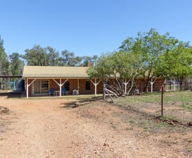 Rural / Farming commercial property sold at 20R Ascot Park Road Dubbo NSW 2830