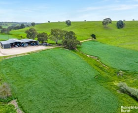 Rural / Farming commercial property for sale at 414 Mills Road Harrogate SA 5244