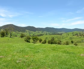 Rural / Farming commercial property for sale at Yard Creek Cooplacurripa NSW 2424