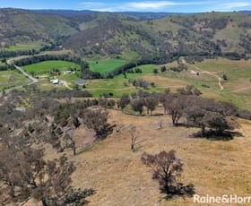 Rural / Farming commercial property sold at 6630 Abercrombie Road Tuena NSW 2583