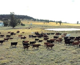 Rural / Farming commercial property sold at 1466 Yarrabandai Road Forbes NSW 2871
