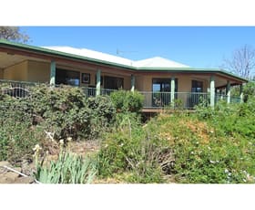 Rural / Farming commercial property for sale at Tamworth NSW 2340
