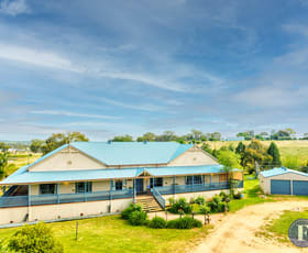 Rural / Farming commercial property for sale at 6 Campbells, Road Young NSW 2594