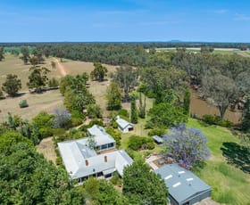 Rural / Farming commercial property for sale at 194 Macphillamys Lane Forbes NSW 2871