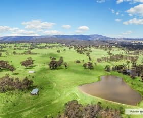 Rural / Farming commercial property sold at 520 Sunday Creek Lane Sugarloaf Creek VIC 3658