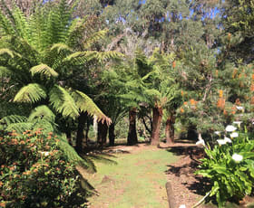 Rural / Farming commercial property for sale at 198 Whitehills Road Penguin TAS 7316