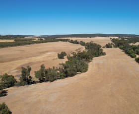 Rural / Farming commercial property for sale at 4704/ Young Road Jelcobine WA 6306