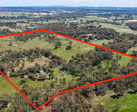 Rural / Farming commercial property for sale at 240 Kealy Road Benalla VIC 3672