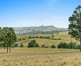 Rural / Farming commercial property sold at 132 Manresa Park Road Glendon Brook NSW 2330