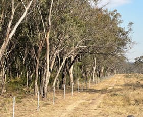 Rural / Farming commercial property for sale at 8 Back Creek Road Karara QLD 4352