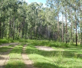 Rural / Farming commercial property sold at 534 Phillips Swamp Road Busbys Flat NSW 2469