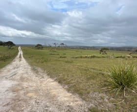 Rural / Farming commercial property for sale at 547 Sandy Point Road Bridport TAS 7262