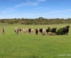 Rural / Farming commercial property sold at 3670 Corangamite Lake Road Cundare VIC 3251