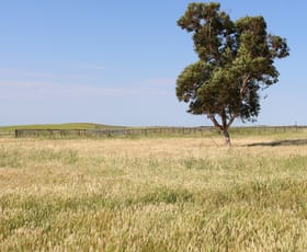 Rural / Farming commercial property sold at 5009 Billiatt Road Lameroo SA 5302