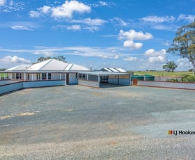 Rural / Farming commercial property for sale at 459 Echuca West School Road Echuca VIC 3564