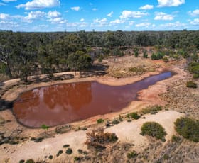 Rural / Farming commercial property sold at 'Dalray' Pietschs Road Tullamore NSW 2874