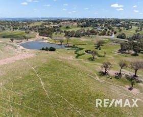 Rural / Farming commercial property for sale at 5919 Gundagai Road Junee NSW 2663