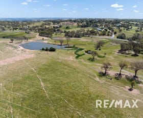 Rural / Farming commercial property sold at 5919 Gundagai Road Junee NSW 2663