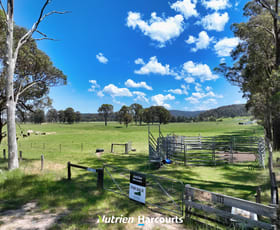 Rural / Farming commercial property for sale at 111 Old Walhalla Road Toongabbie VIC 3856