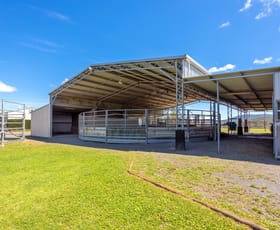 Rural / Farming commercial property for sale at Dyers Crossing NSW 2429