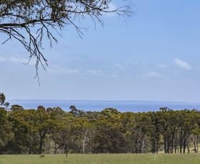 Rural / Farming commercial property sold at 56 Bulldog Creek Road Dromana VIC 3936