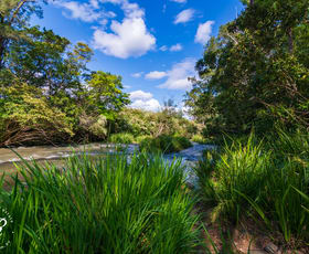 Rural / Farming commercial property sold at 555 Moores Road Monkerai NSW 2415