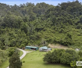 Rural / Farming commercial property sold at 271 Couchy Creek Road Numinbah NSW 2484