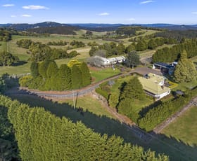 Rural / Farming commercial property sold at 247 Pearsons Lane Robertson NSW 2577
