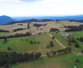 Rural / Farming commercial property sold at Dorrigo Mountain NSW 2453