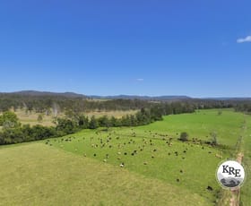 Rural / Farming commercial property for sale at 1308 Old Dyraaba Road Casino NSW 2470