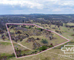 Rural / Farming commercial property sold at 241 Coopers Road Glen Innes NSW 2370