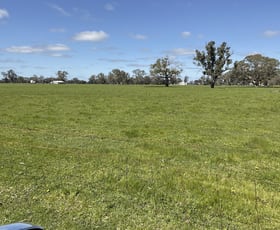 Rural / Farming commercial property for sale at 375 Ripley Park Road Apsley VIC 3319
