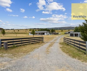 Rural / Farming commercial property for sale at 2727 Collector Road Collector NSW 2581