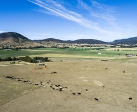 Rural / Farming commercial property for sale at 473-475 Burrundulla Road Burrundulla NSW 2850