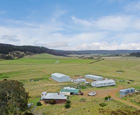 Rural / Farming commercial property for sale at 34 Dundee Road Whitefoord TAS 7120