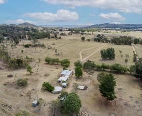 Rural / Farming commercial property sold at 974 Black Springs Road Mudgee NSW 2850