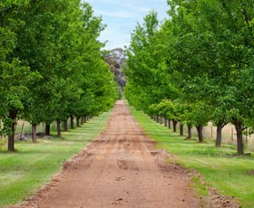 Rural / Farming commercial property sold at 29 Kelly Lane Spring Terrace NSW 2798