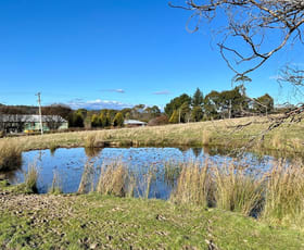 Rural / Farming commercial property for sale at Lots A & B West Tamar Highway Loira TAS 7275