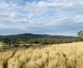 Rural / Farming commercial property for sale at Lots 1,2 &5 West Tamar Highway Loira TAS 7275