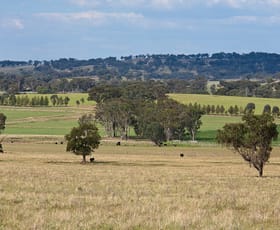 Rural / Farming commercial property sold at Galambine NSW 2850