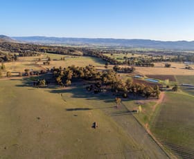 Rural / Farming commercial property sold at 131 Buckaroo Lane Mudgee NSW 2850