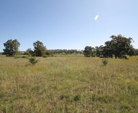 Rural / Farming commercial property sold at 293 Hayes Gap Road Mudgee NSW 2850