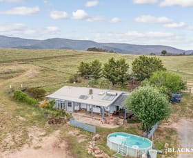 Rural / Farming commercial property for sale at 484 Tinderry Road Michelago NSW 2620
