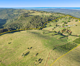 Rural / Farming commercial property for sale at Beechmont Road Beechmont QLD 4211