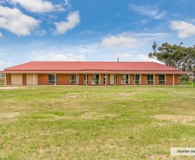 Rural / Farming commercial property for sale at 1133 Kilmore-Lancefield Road Springfield VIC 3434