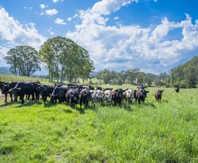 Rural / Farming commercial property sold at 312-370 Upper Monkerai Road Monkerai NSW 2415
