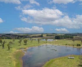 Rural / Farming commercial property for sale at 295 Cherry Tree Road Sutton Forest NSW 2577